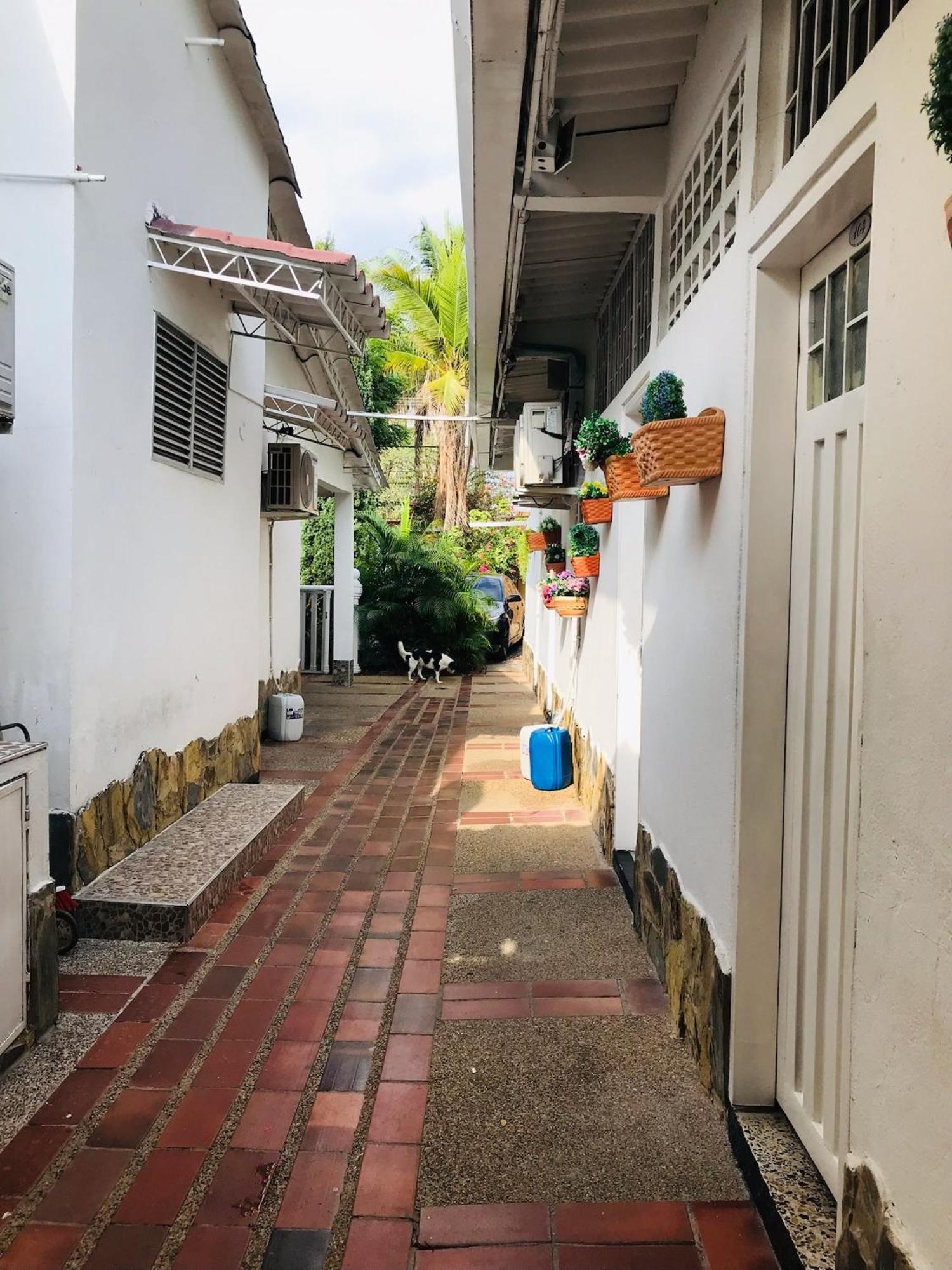 Hotel Maceo Melgar Dış mekan fotoğraf
